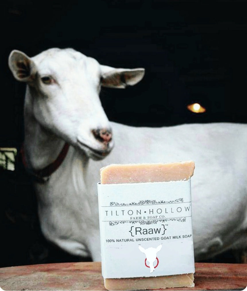 White Pumpkin Amber Goat Milk Soap — Dry Hollow Farm