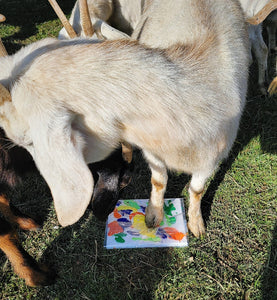Come Together - Painting by goats Hutch, Pearl, & Margaret Tilton