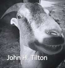 Load image into Gallery viewer, John Tilton's Foot & Hoof Rub™️ Goat Milk Foot Salve
