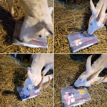 Load image into Gallery viewer, A Kiss On The Cheek (Holly's Legacy) A collaborative painting from Farmer Chad and Goat, Molly Tilton