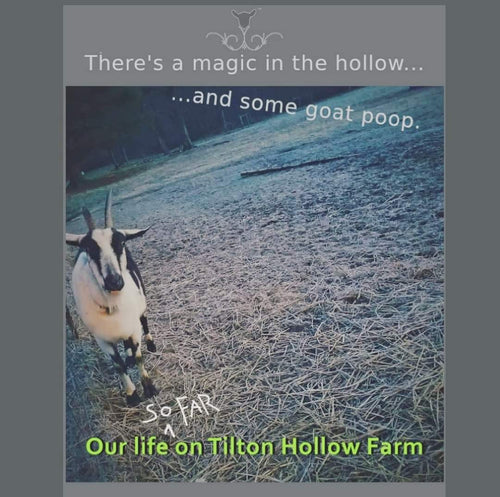 There's a magic in the hollow...and some goat poop. Our life (So far) on Tilton Hollow Farm.™️ Coming soon!