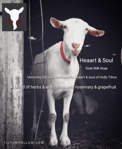 Heart & Soul™️ - Goat Milk Soap - Honoring the life, heart, & soul of Holly Tilton