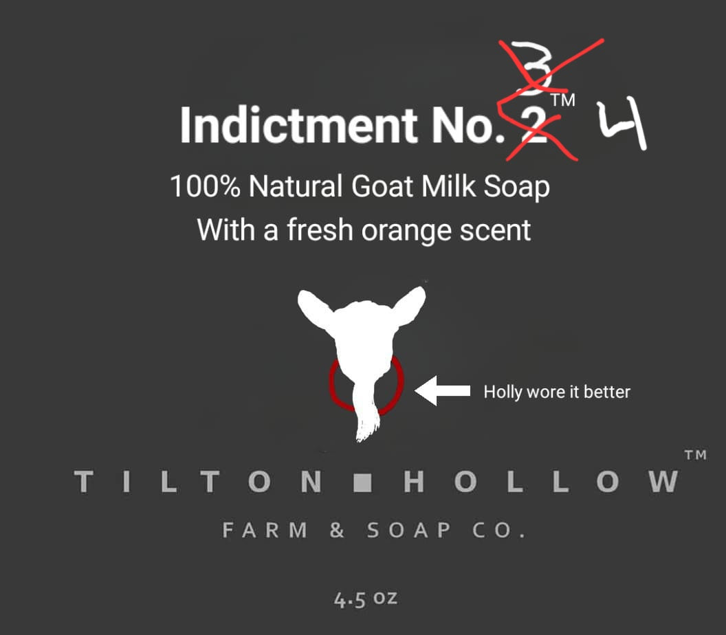 Indictment No. 4 - Goat Milk Soap with a fresh orange scent. 😉