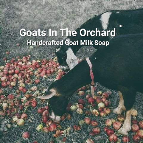 Goats In The Orchard - Handcrafted Goat Milk Soap