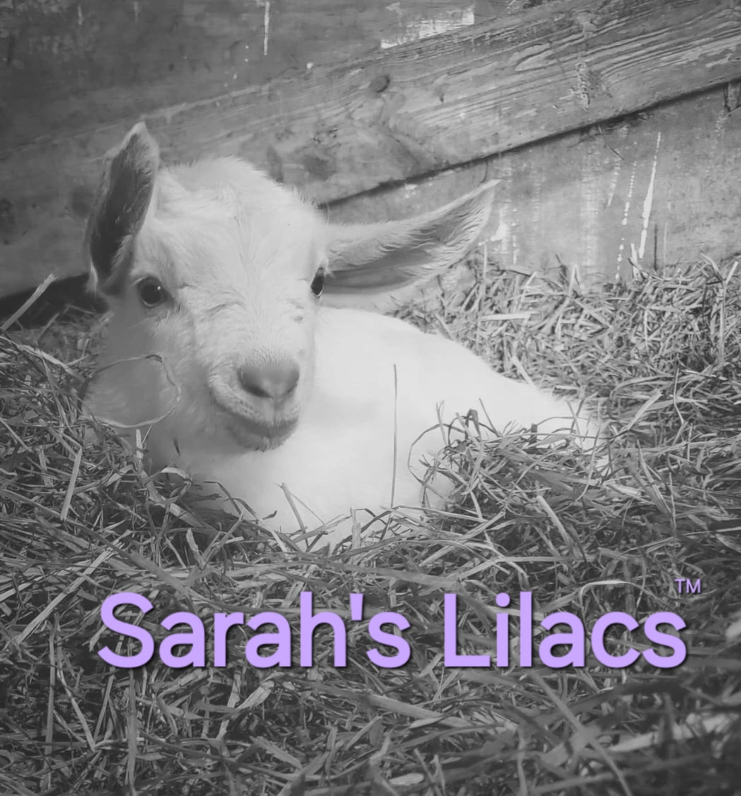 Sarah’s Lilacs™️ - Handcrafted Goat Milk Soap with pthalate-free fragrance