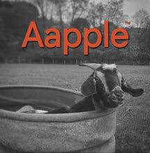 Load image into Gallery viewer, Aapple™️ - Goat Milk Soap with a crisp scent of apples!