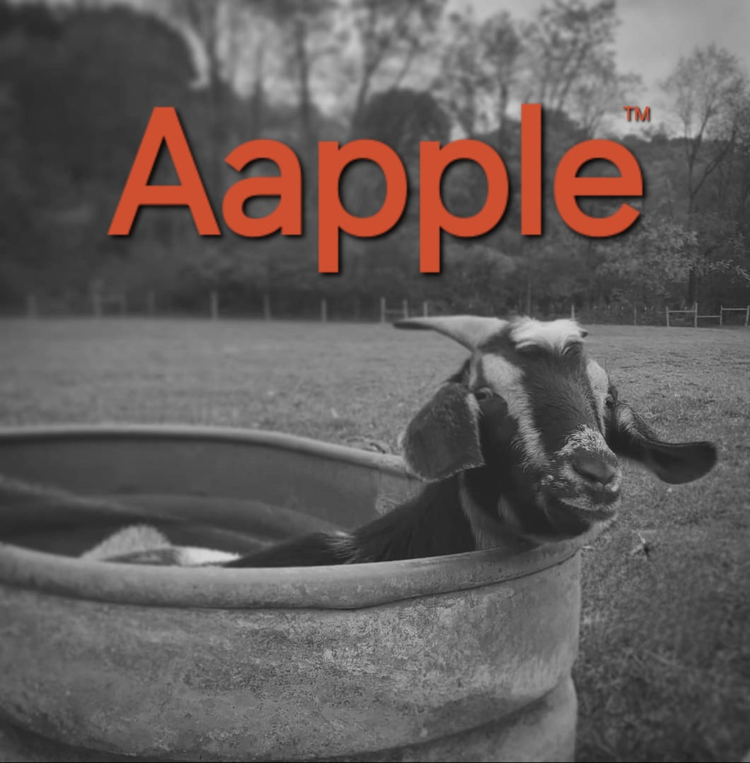 Aapple™️ - Goat Milk Soap with a crisp scent of apples!