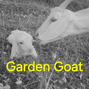 Garden Goat™️ - Gardener's bar. Citrus, tea tree, ground coffee, pumice, tea leaves.