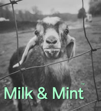 Load image into Gallery viewer, Milk &amp; Mint - Goat Milk Soap with Mint, Pumice &amp; Honey