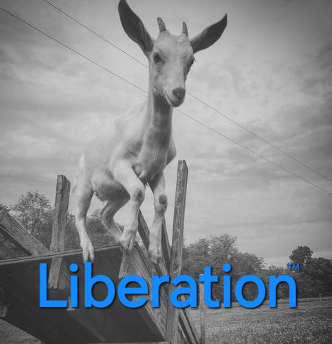 Liberation™️ - Goat Milk Soap with a bright, classic, scent.