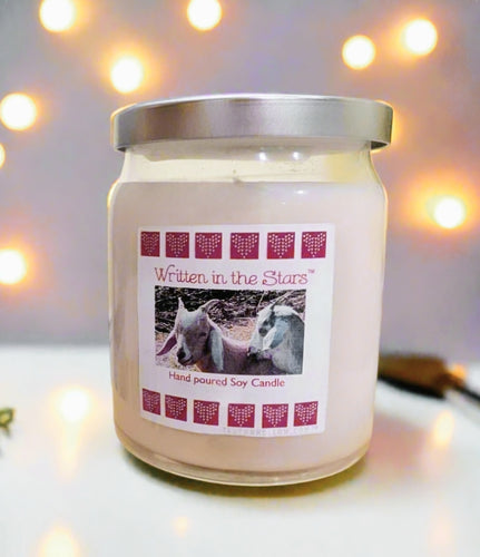 Written In The Stars™️ - 10 oz Soy Candle