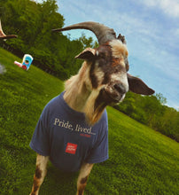 Load image into Gallery viewer, Pride, lived. - TEE- Denim Blue