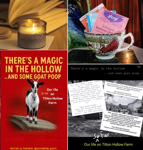 Pre-order - Special Edition Book Package. Signed book, tea cup, signature candle. Limited Supply.