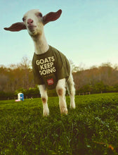 Load image into Gallery viewer, Goats Keep Going T-Shirt — Hollow Green