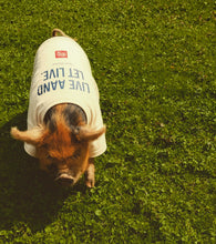 Load image into Gallery viewer, Goat Wisdom - TEE- IVORY