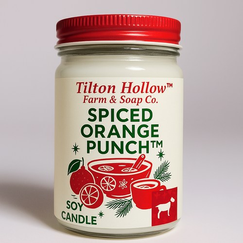 Spiced Orange Punch™️ - 12 oz Soy Candle