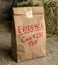 Load image into Gallery viewer, The Case of the Haunted Barn: - Evidence Bundle.