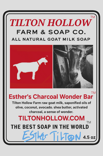 Esther's Charcoal Wonder Bar™️