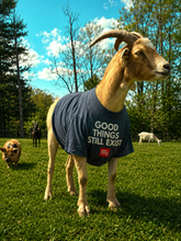 Load image into Gallery viewer, GOOD THINGS STILL EXIST - TEE- Denim Blue