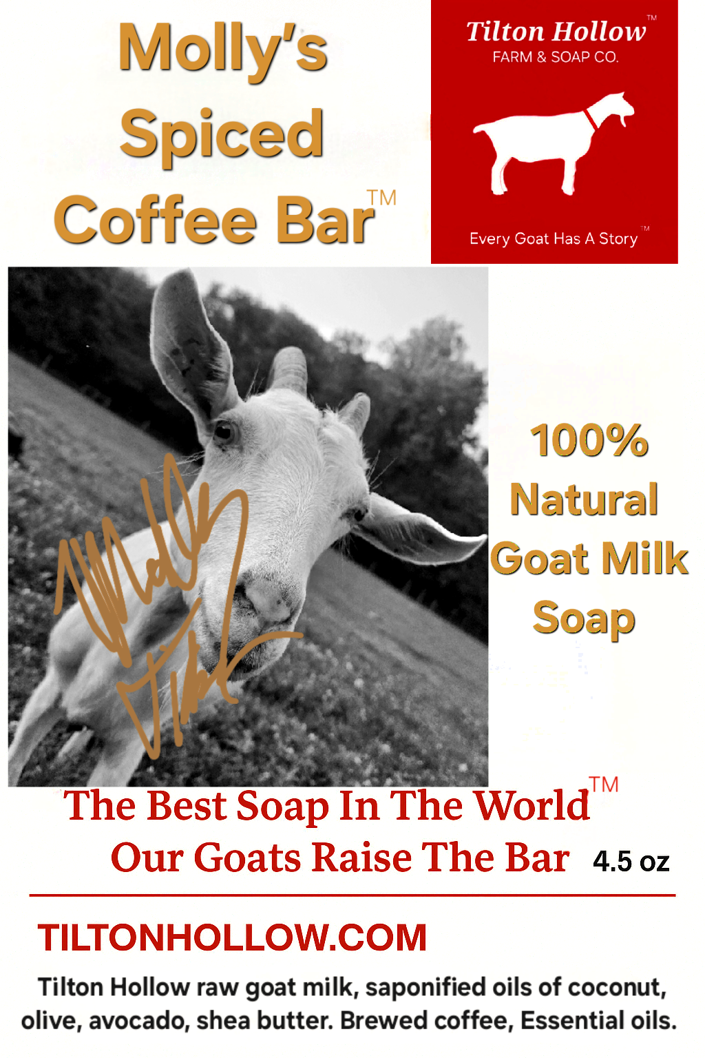 Molly's Spiced Coffee Bar™️