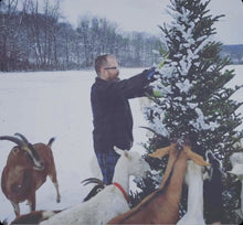 Load image into Gallery viewer, Rockin&#39; Around The Christmas Tree™️ - Handcrafted Goat Milk Soap