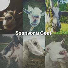 Load image into Gallery viewer, Goat Sponsorship 3 months