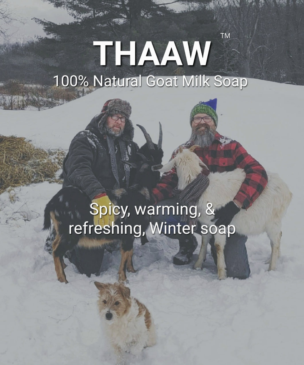 Thaaw - Our Winter Soap. Spicy, warming, refreshing, Winter Soap