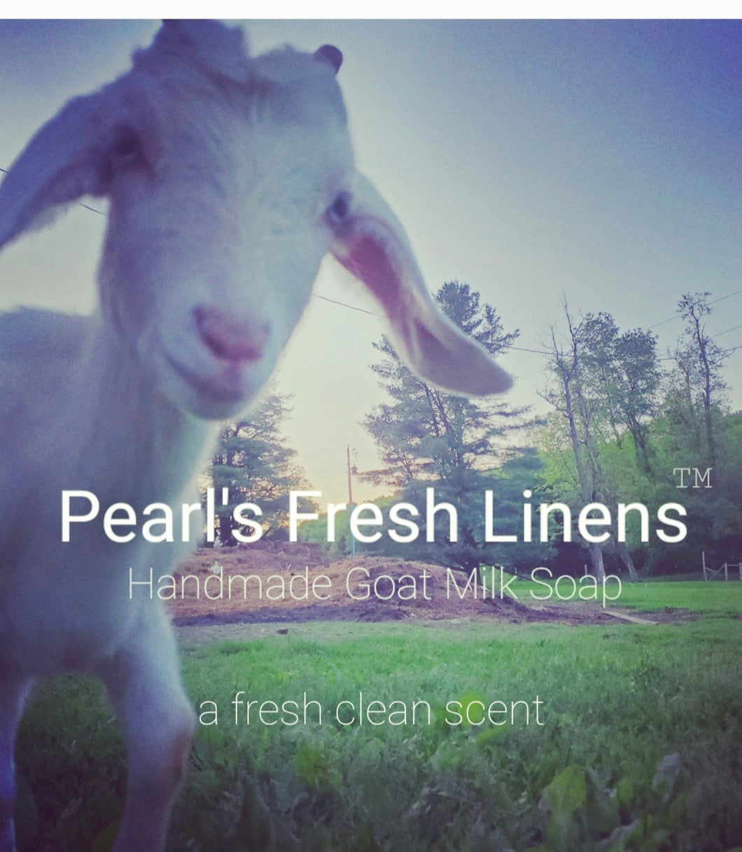 Pearl's Fresh Linens - Handcrafted Goat Milk Soap